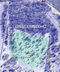 志賀高原タンネの森オコジョスキー場