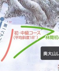 休暇村奥大山鏡ヶ成スキー場
