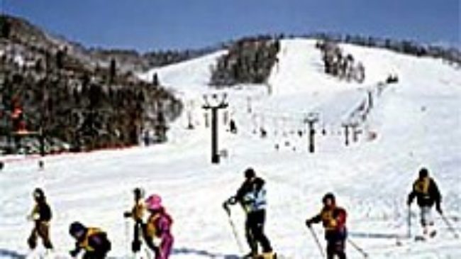 標津町営金山スキー場