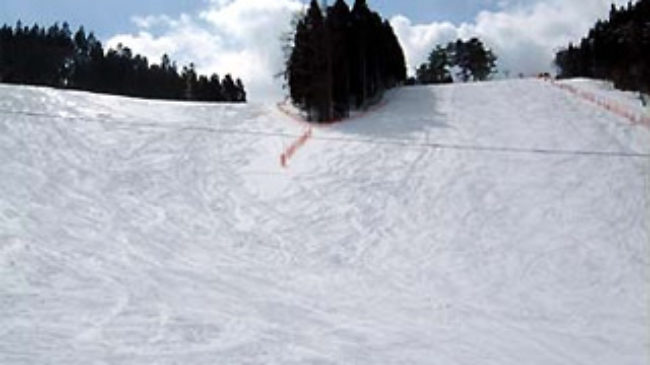 知内町営スキー場