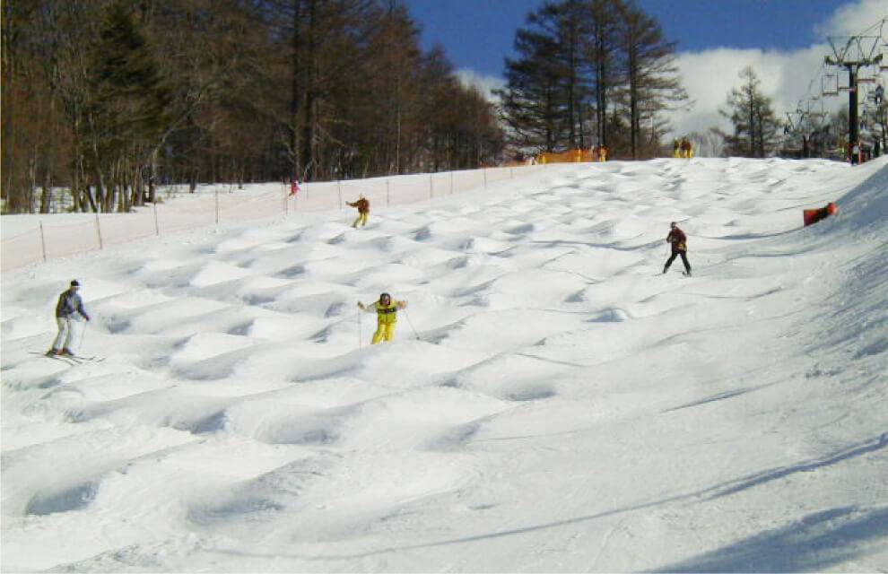 白樺高原国際スキー場 | 全国スキー場/スノーリゾートガイド Japanese SnowResort portal site.